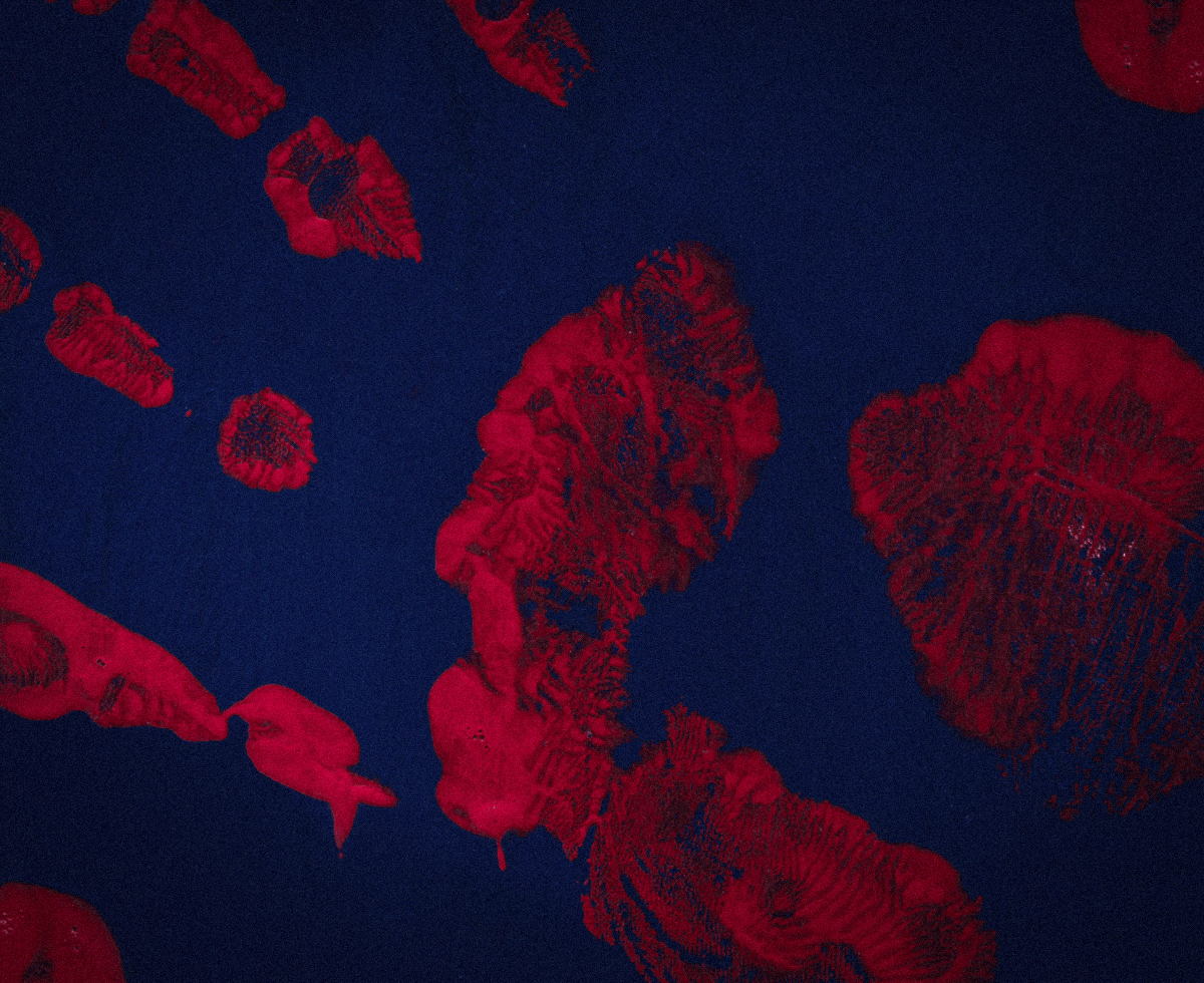 이란 정부, 또 사형 🇮🇷