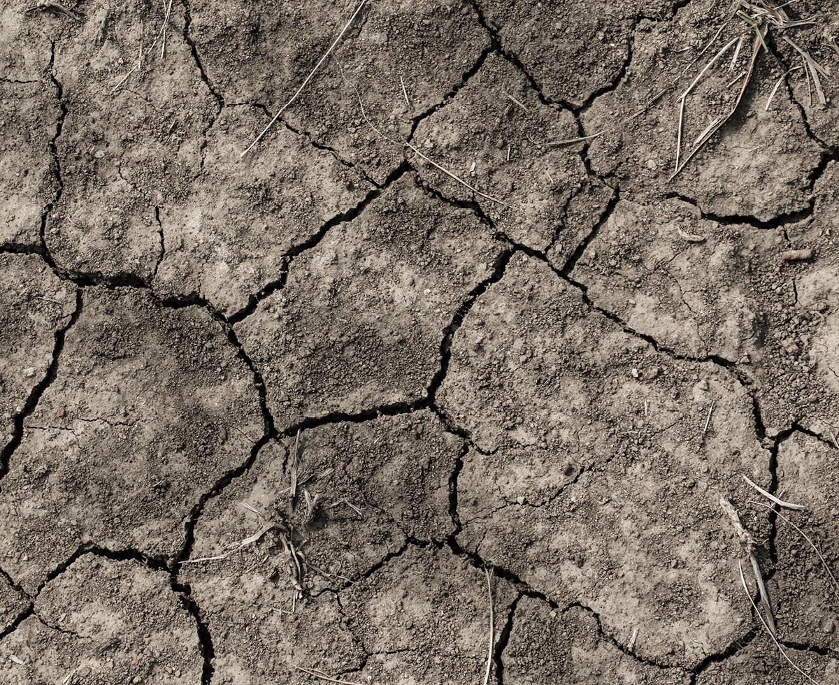 대만에도 비가 내리길 🌧️