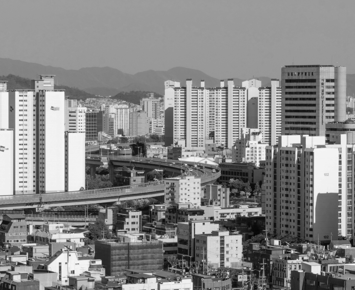 전세사기 피해자 사망