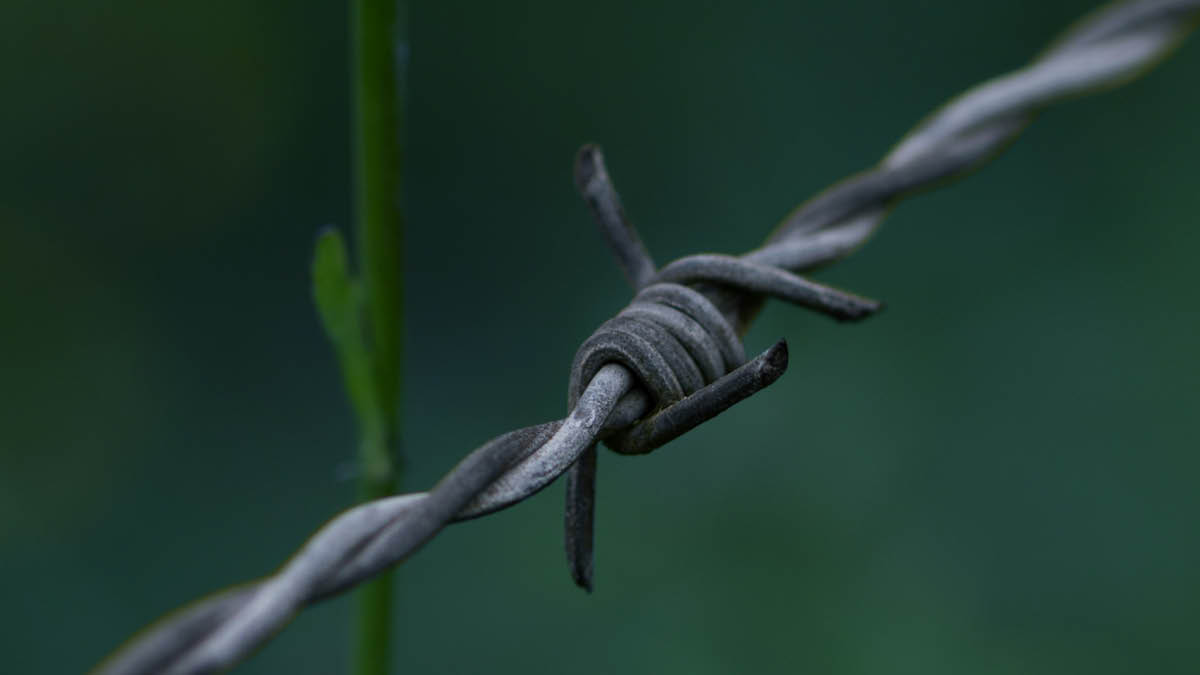 이스라엘-하마스, 휴전할 수 있을까 🇮🇱🇵🇸