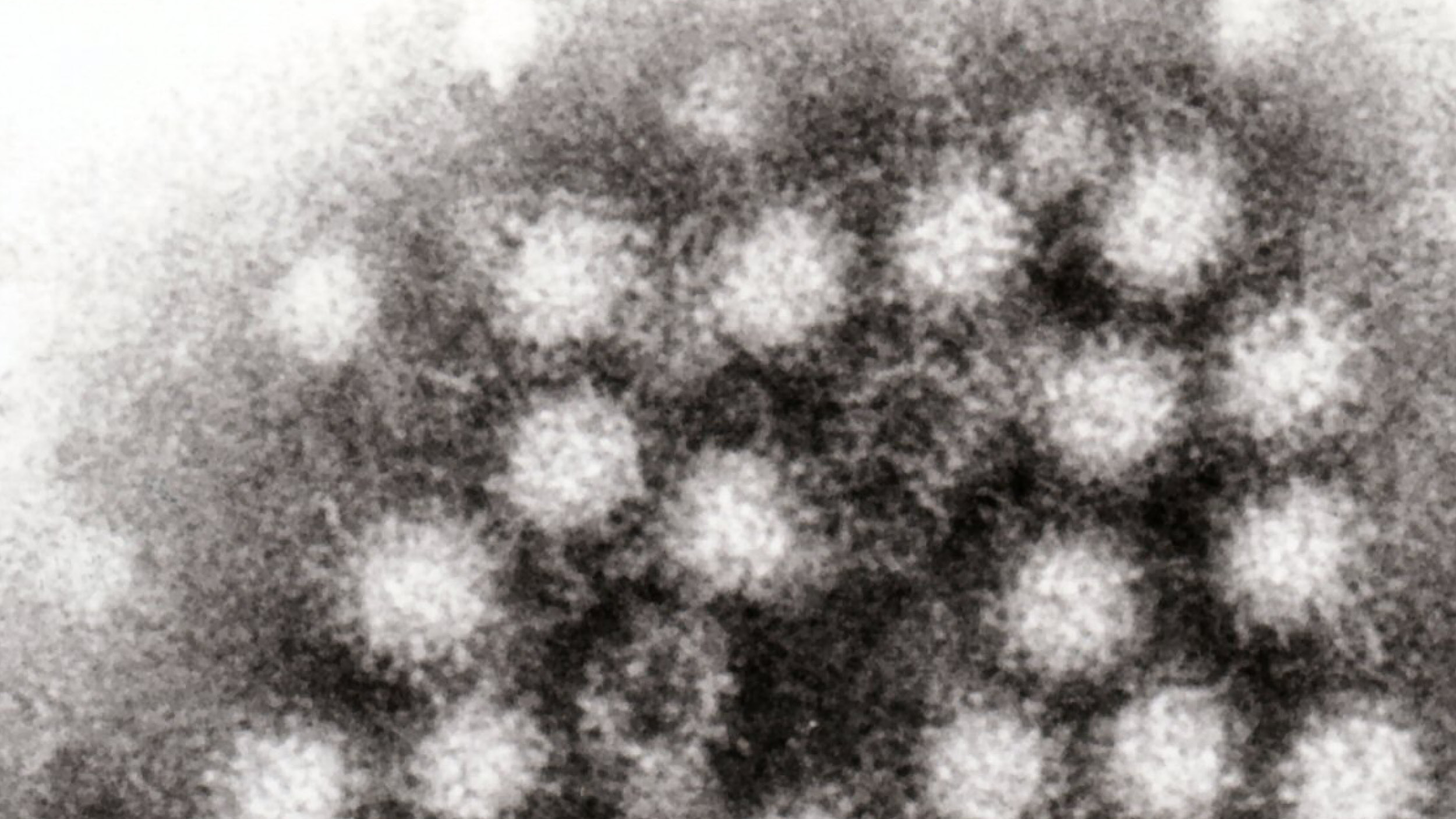 노로바이러스 조심하세요 🚨