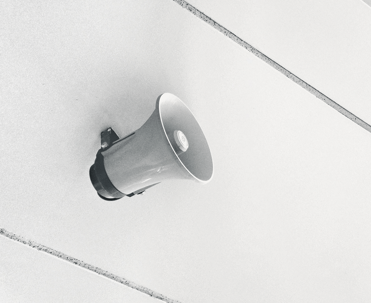 은행별 전세대출 이자 한눈에 딱 💰