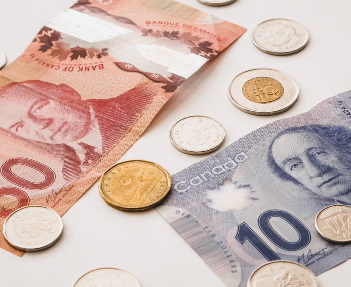 캐나다 선거에 중국이 왜 나와? 🇨🇦🇨🇳