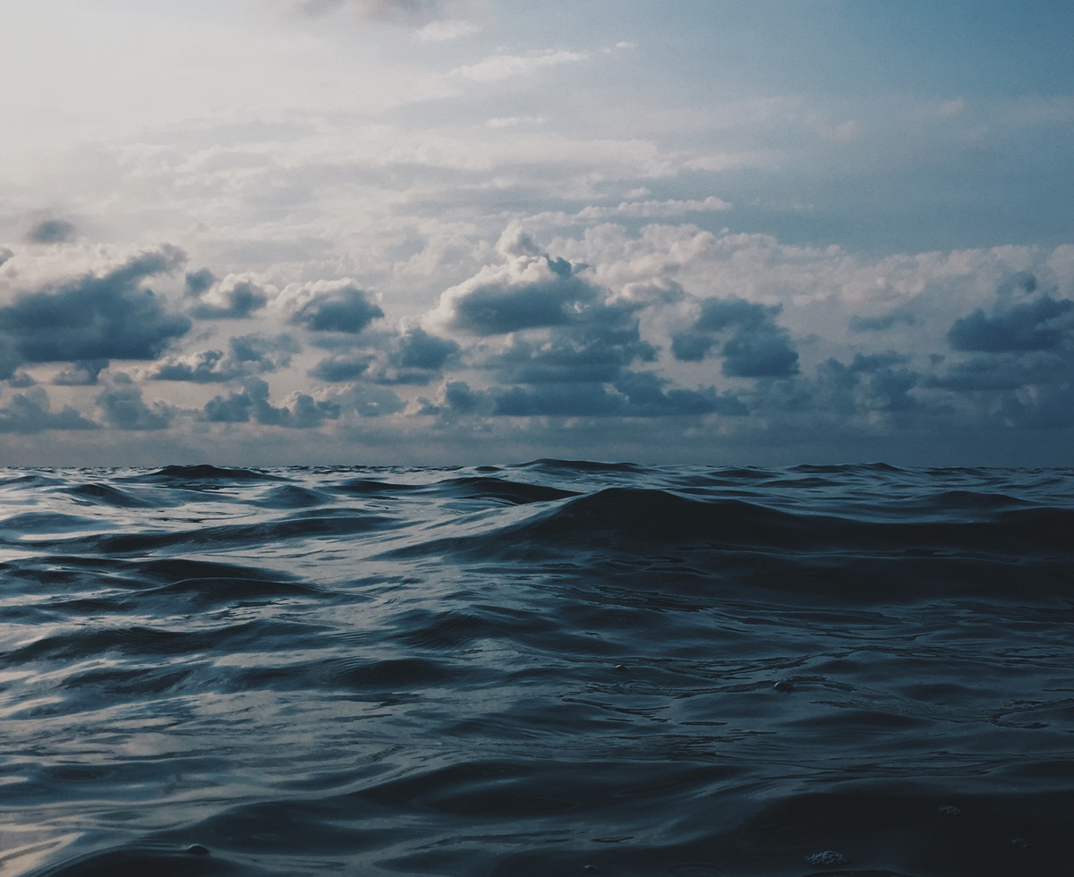 오염수 방류 커밍쑨? ☢️