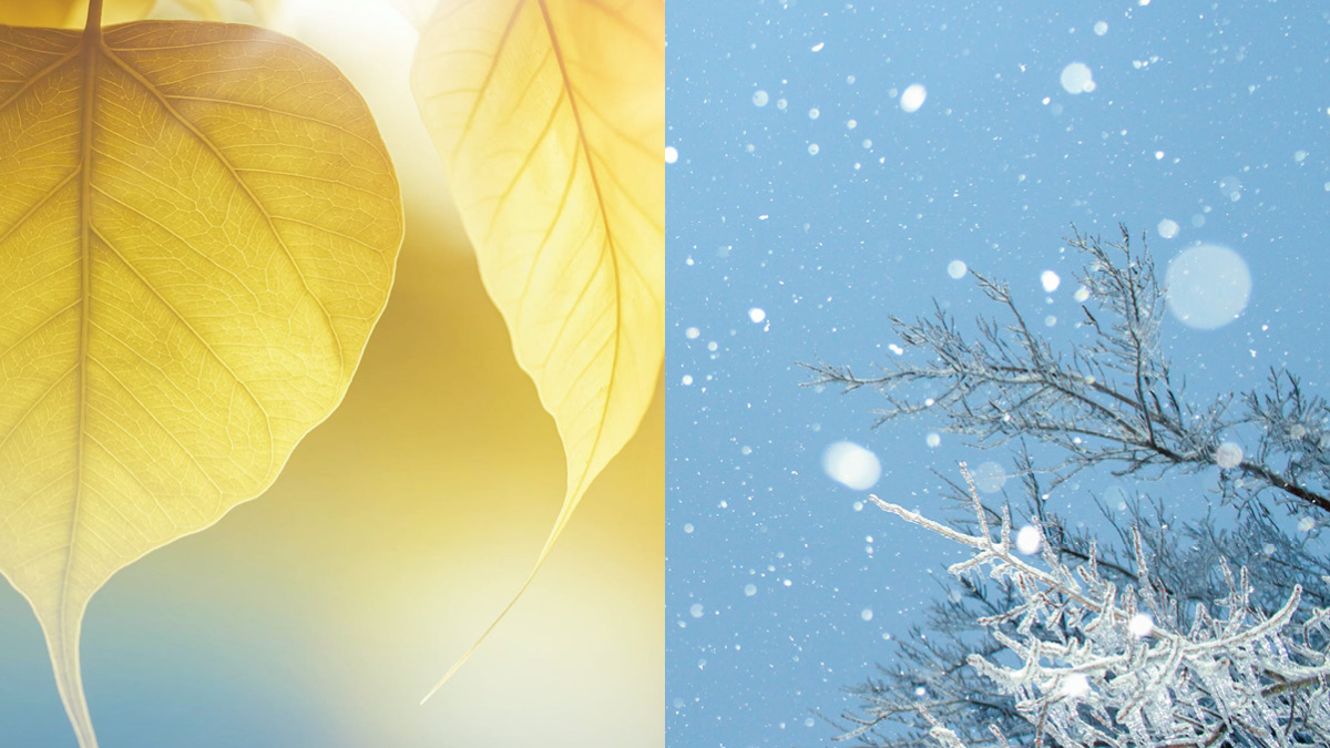 날씨 너 왜 그래? 🌡️