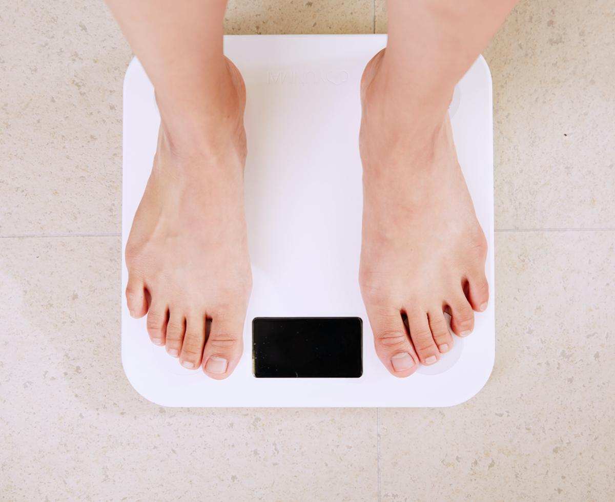 “뚱뚱하다고 차별하지 마세요” ⛔