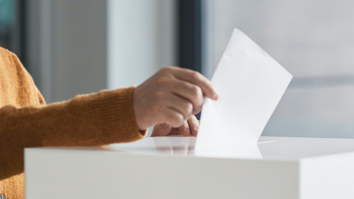 역대급 사전투표율 🗳️