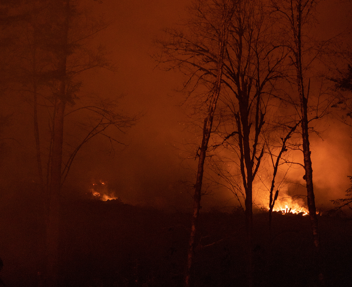 기후위기로 늘어난 산불