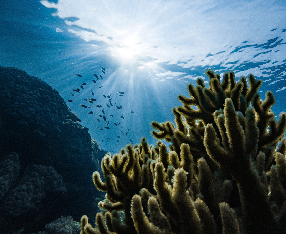 이것은 역사적인 약속 🌊