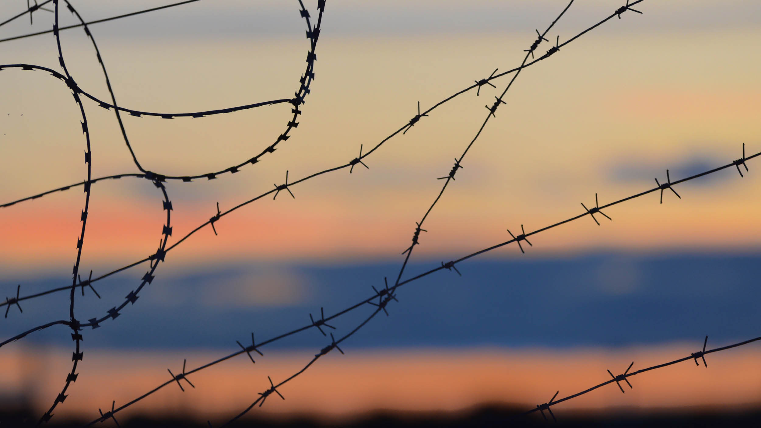 다시 시작된 전쟁