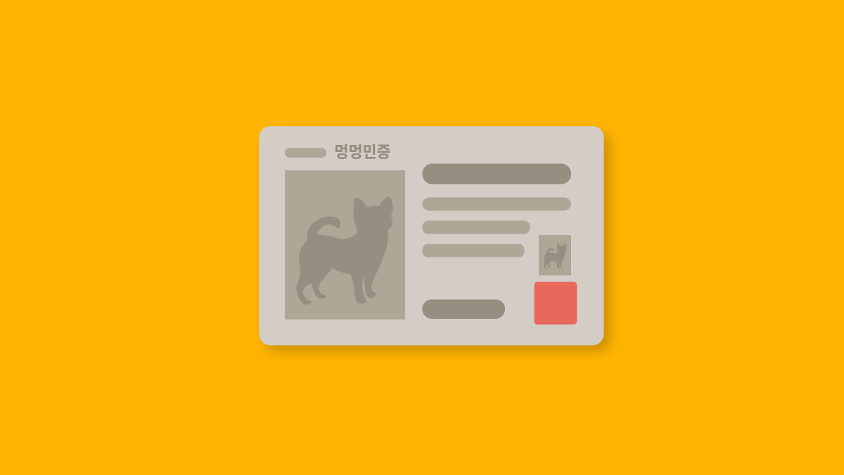 민증 나왔다 멍 🐶