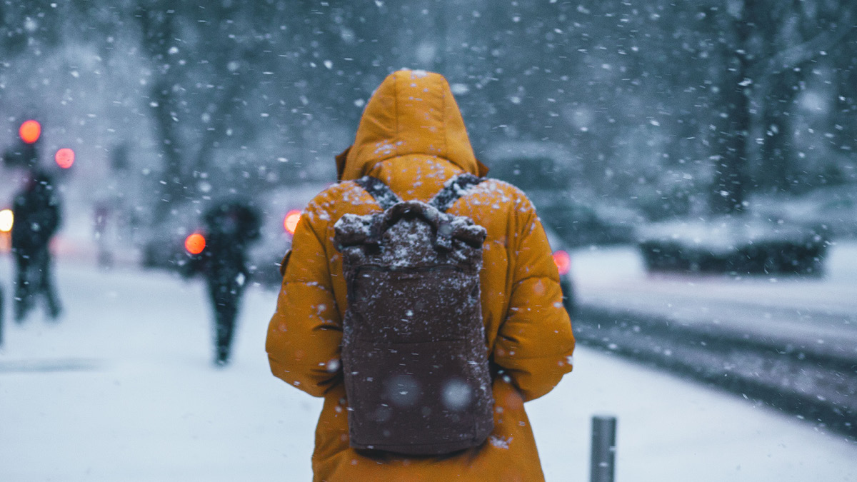 지구: “북극 한파야 고마워”