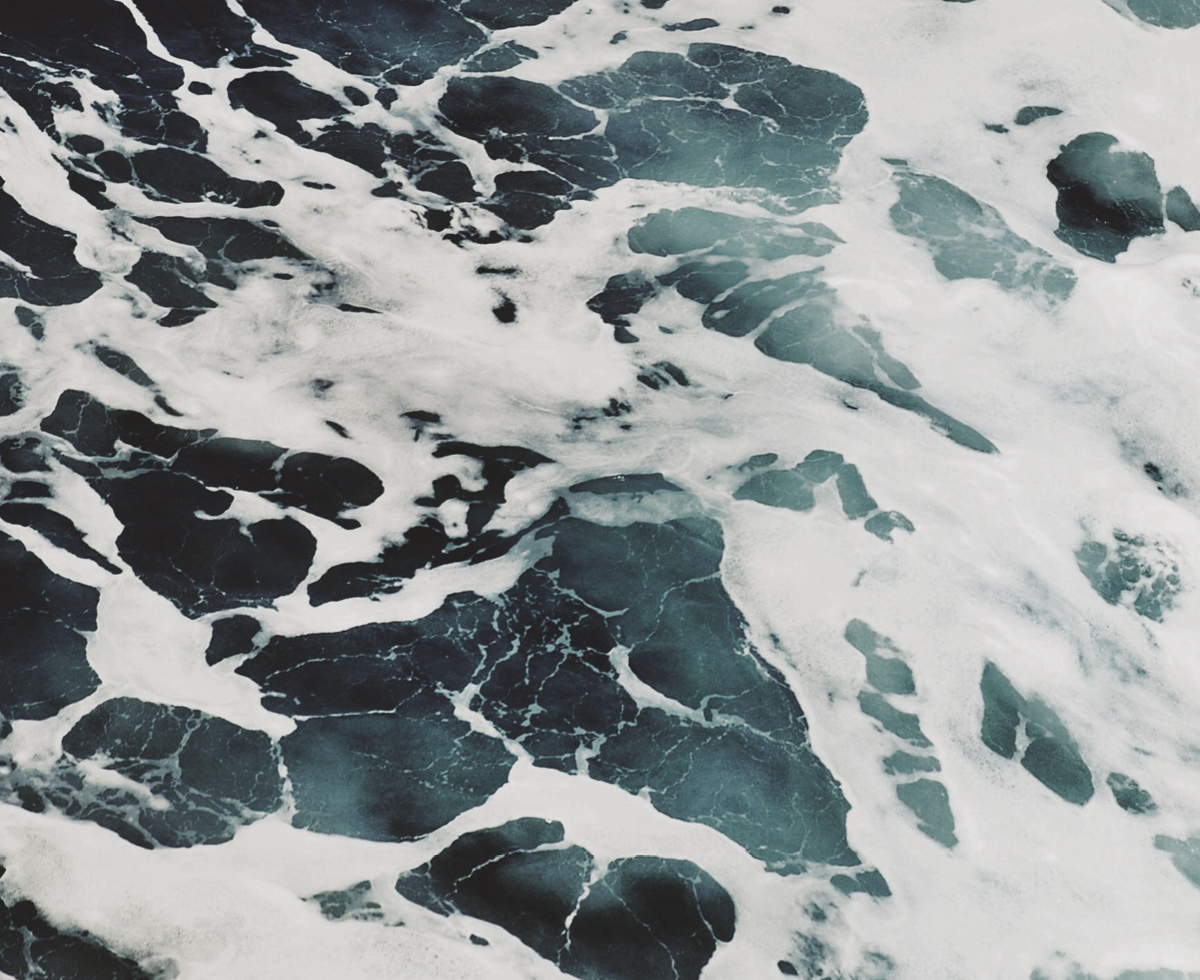 일본은 오염수 방류 리허설 중 ☢️