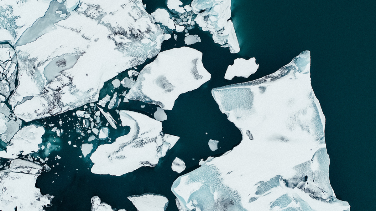 사라져가는 남극 해빙 🧊