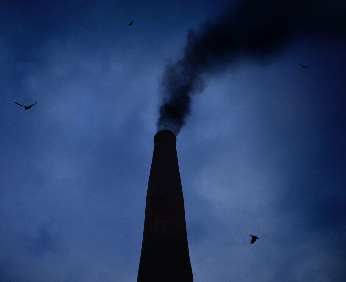 탄소중립 미션 (기업 깍두기 ver.)