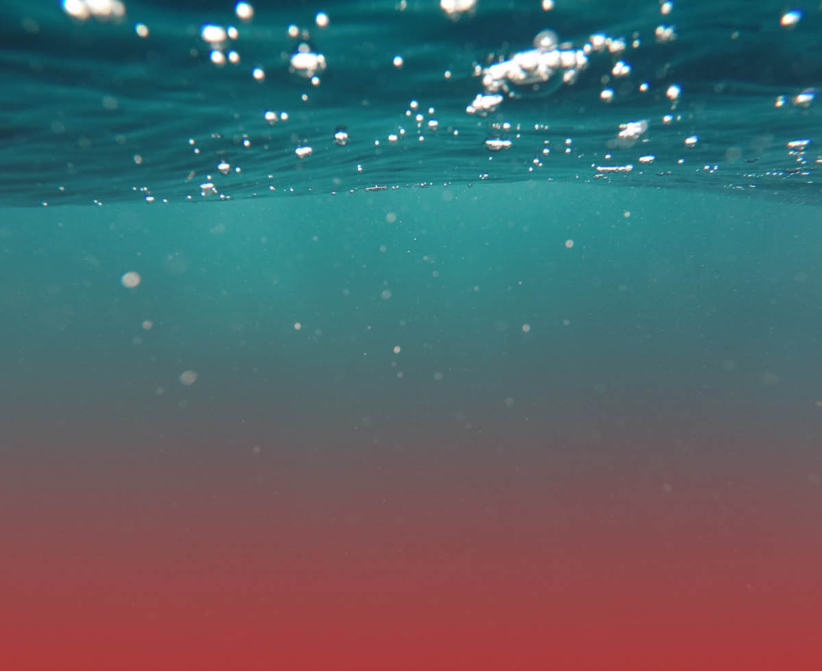 너무 뜨거운 바다