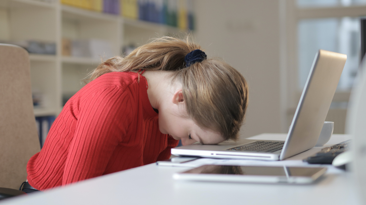 청년 니트족 8만 명 🛌