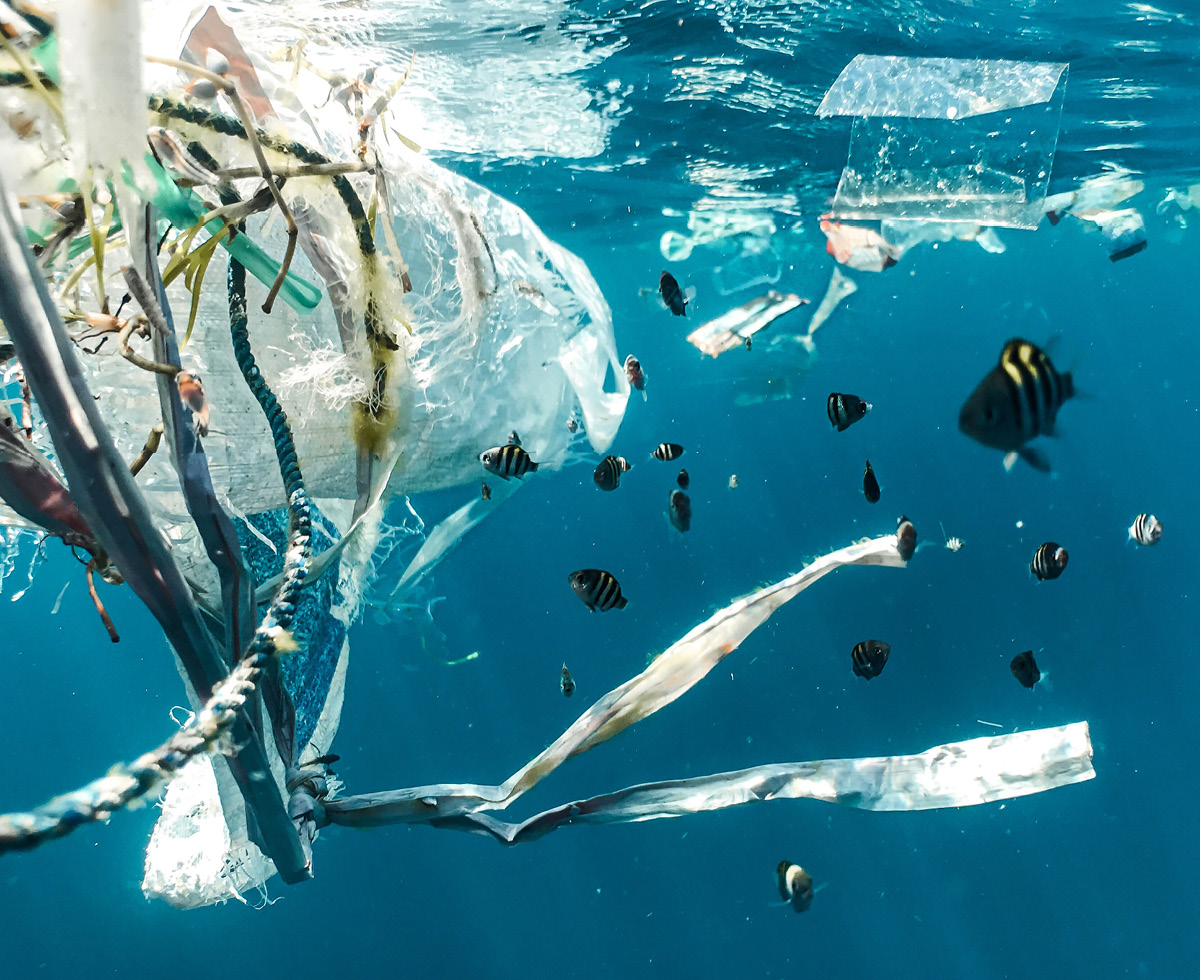 170,000,000,000,000개 🌊