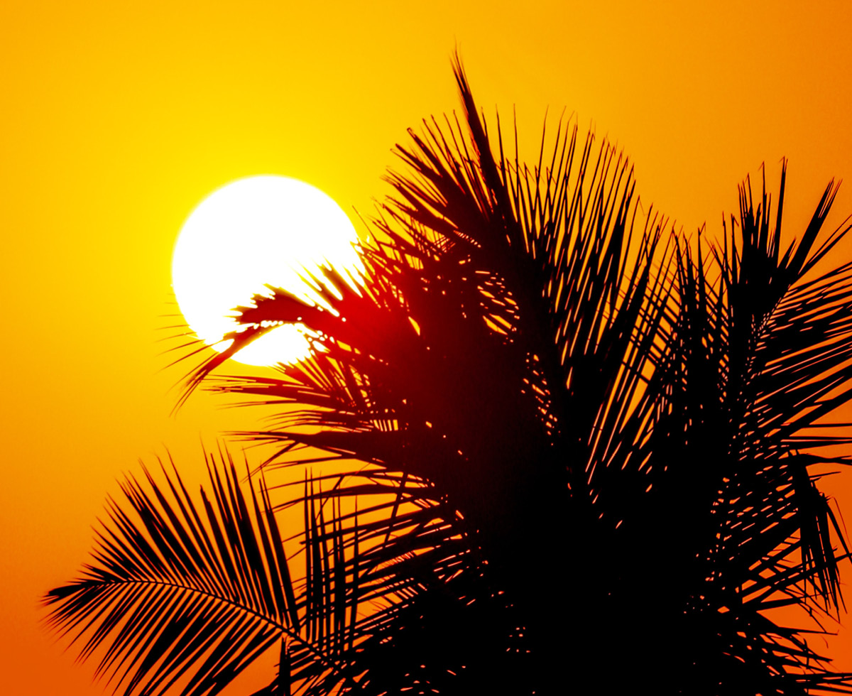 봄여어어어어름갈결 ☀️