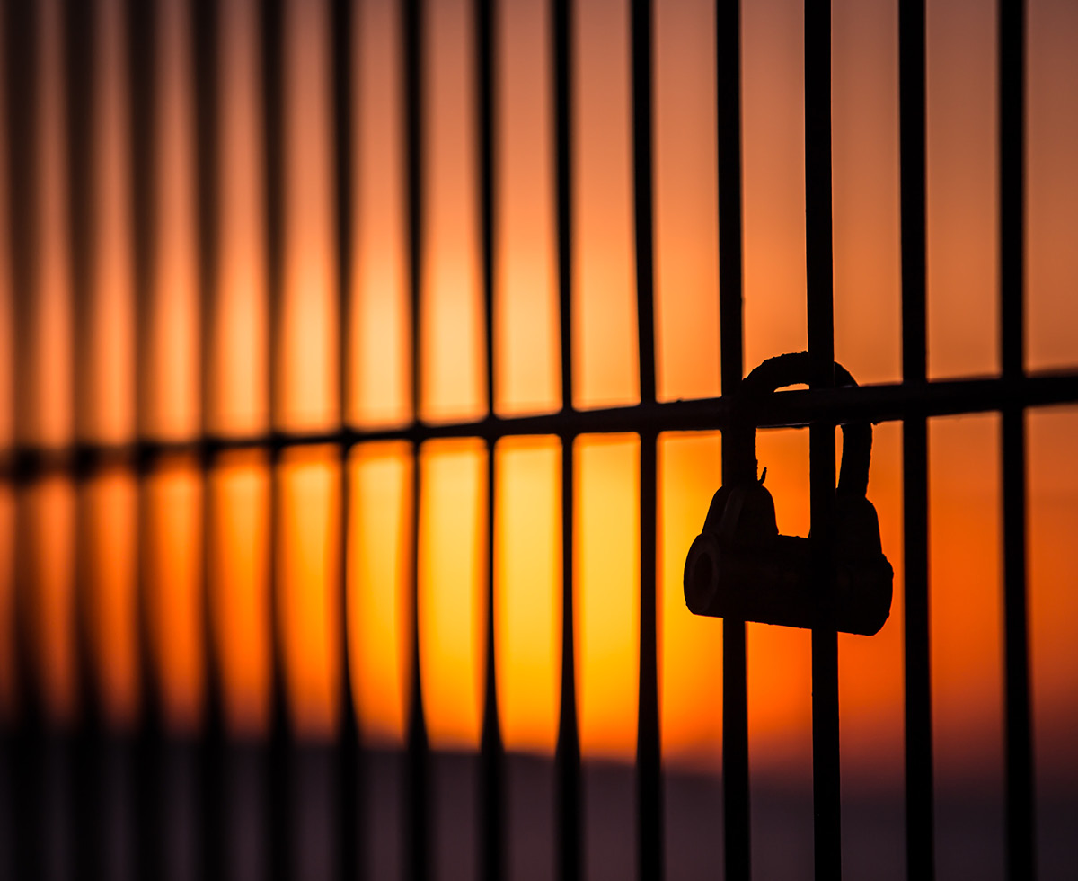 송환은 지금 안 되지 ⏳