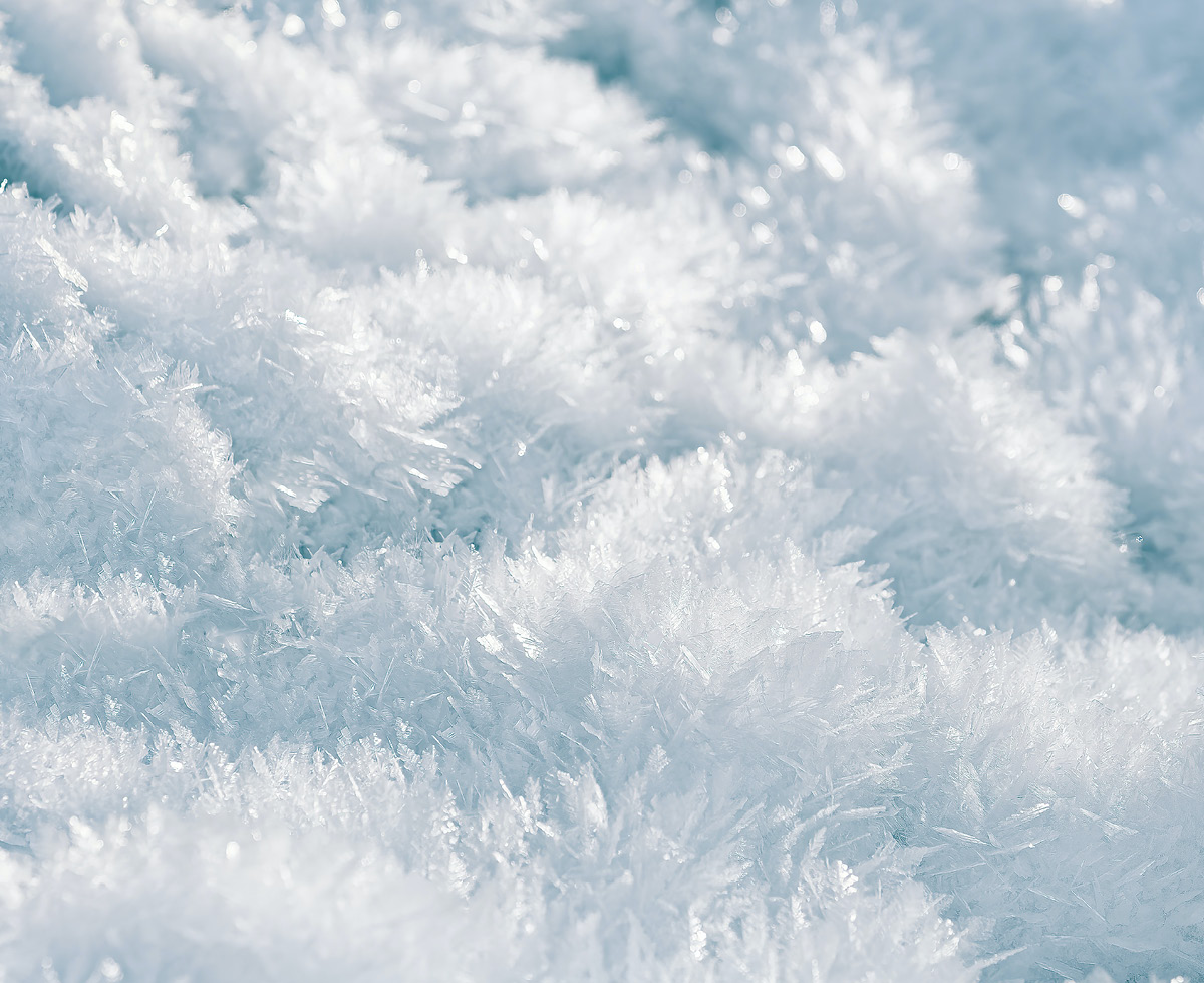 올해 대학 등록금도 꽁꽁 🧊