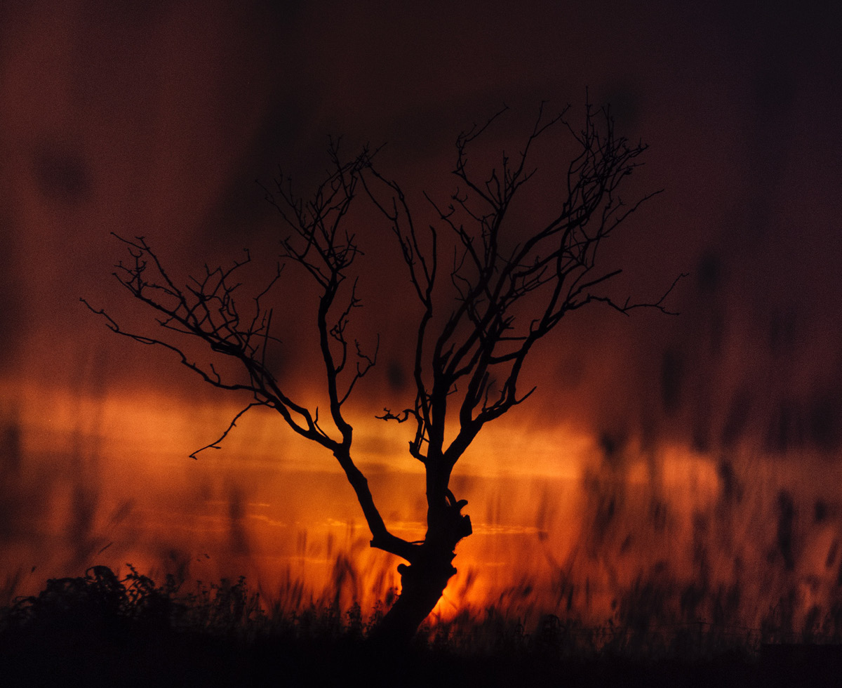 올해 역대급 더위 조심하세요 💦