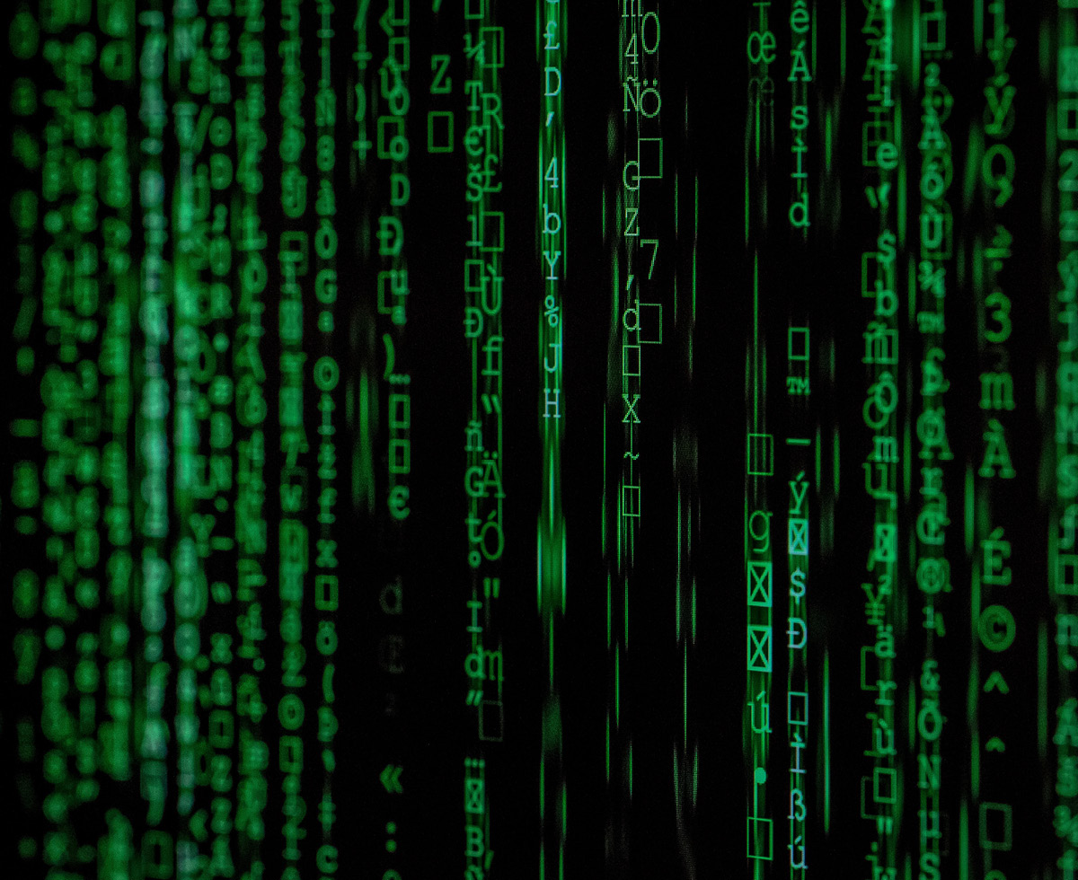 카카오·네이버 관리 들어갑니다 📋