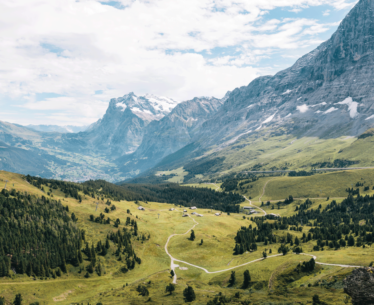 유럽: 지금... 이건 여름이었나? 🇪🇺