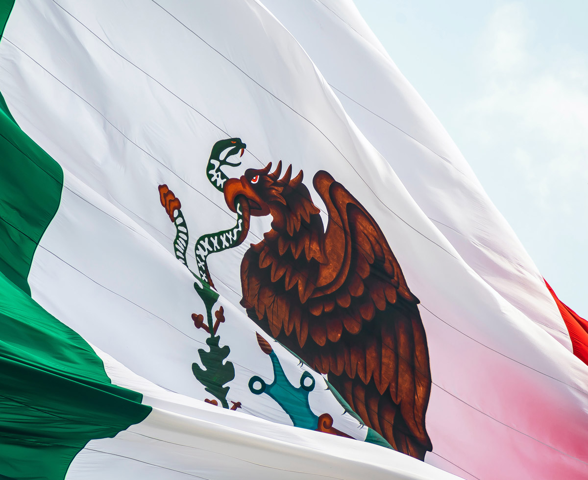 작전명: 멕시코 마약왕 🇲🇽