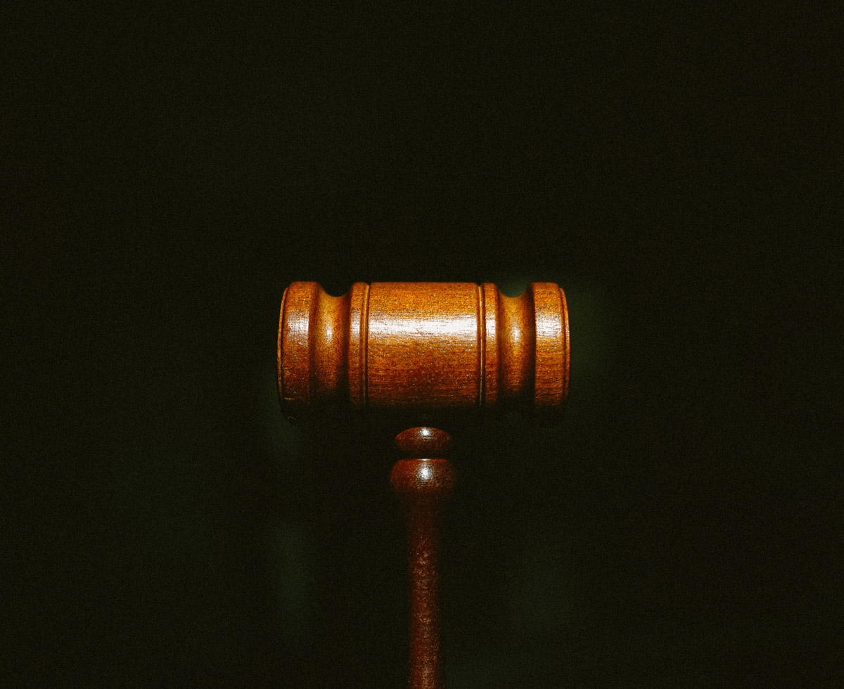 해외 입양, 책임을 묻습니다 🗣️