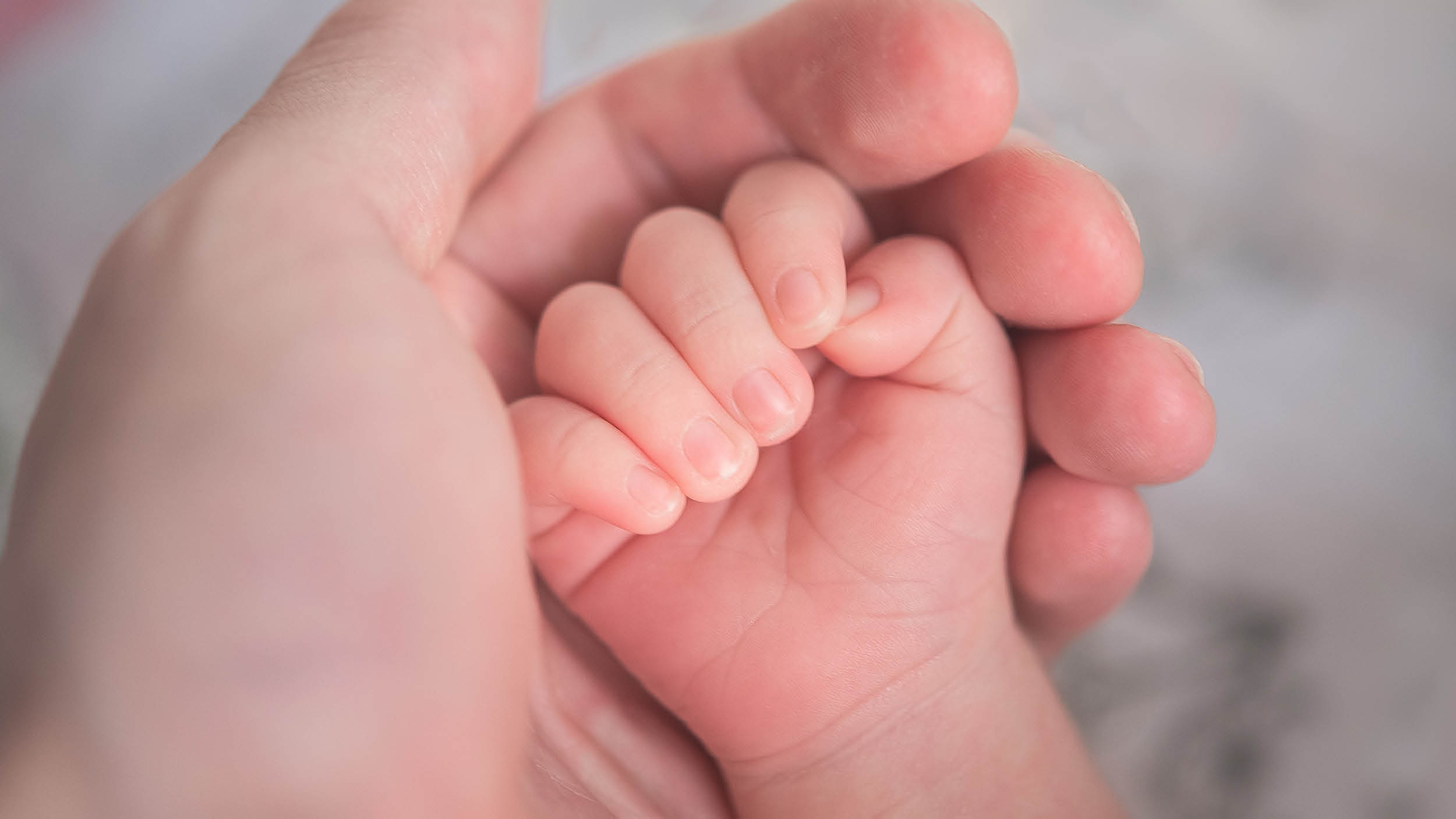 유럽도 저출생 비상 🚨