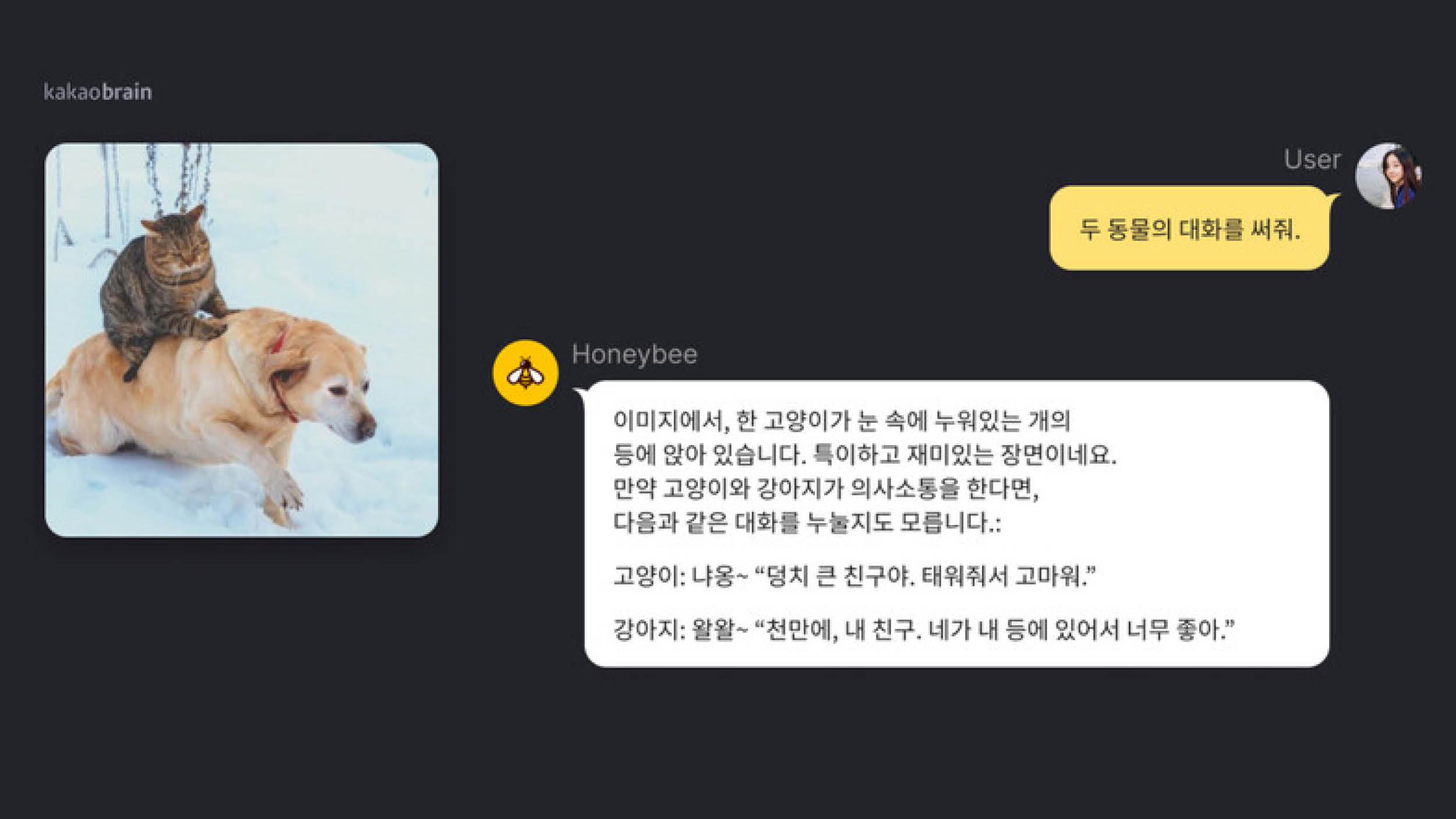 사진으로 물으면 텍스트로 Talk 🐝 🤖