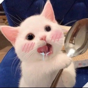 에셔한괴이의편지