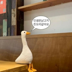 낮잠