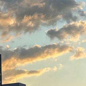 오늘부터