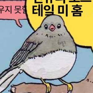 하마