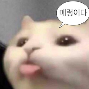구