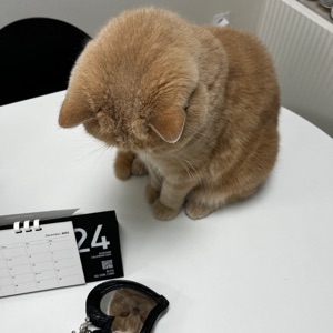 먼지