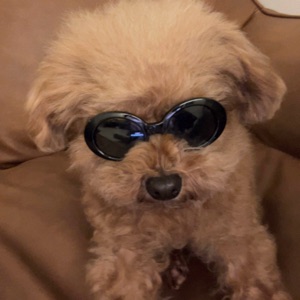 BB