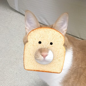 뉴니커