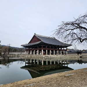 뉴니커