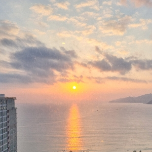 콧구