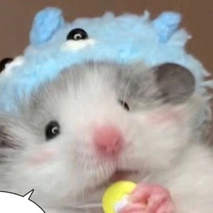 아가햄쥐