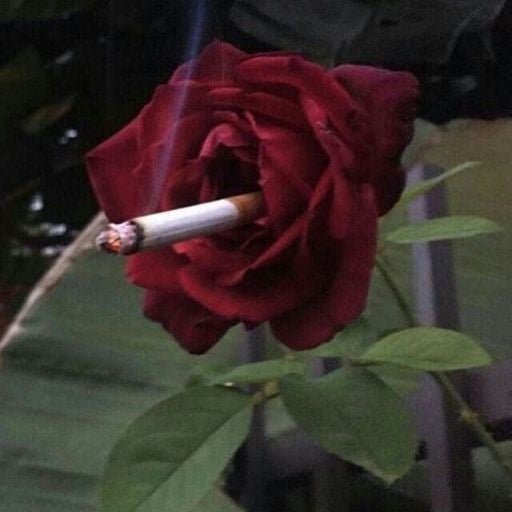 뉴니커