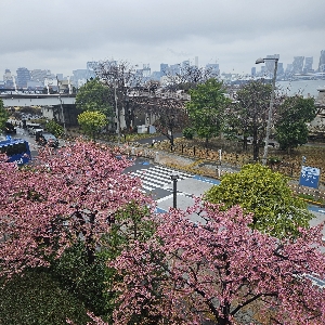 뉴니커