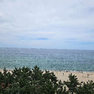뉴니커