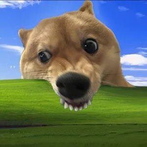 뉴니커