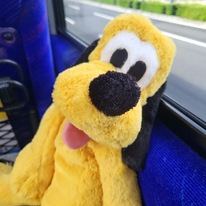 압둘라둘리