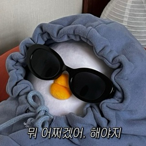 뉴니커