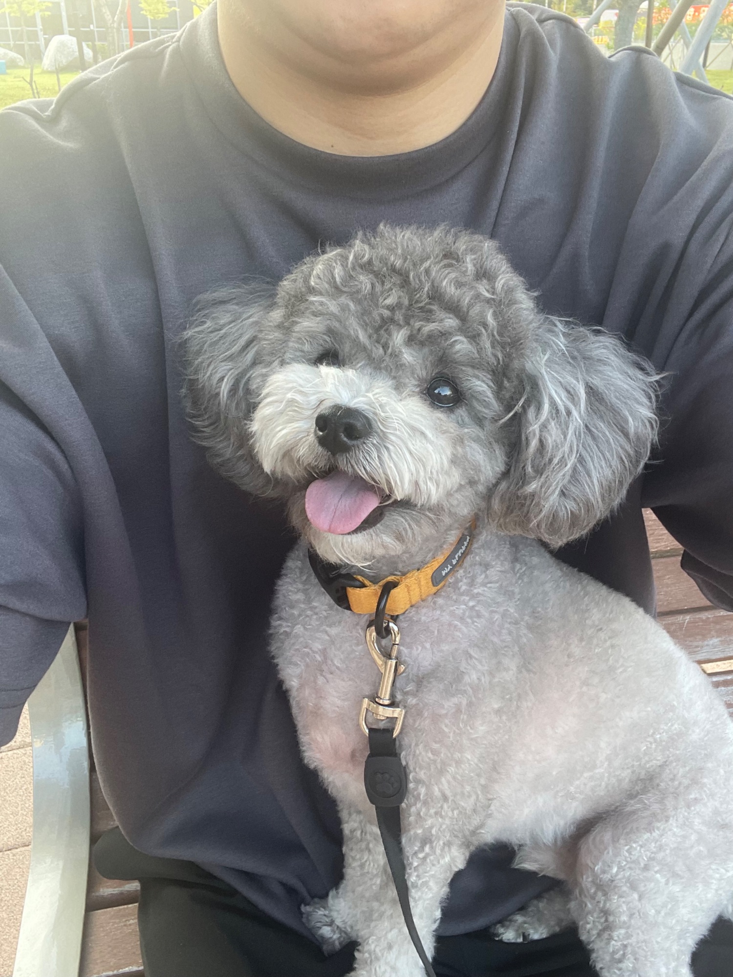 뉴니커